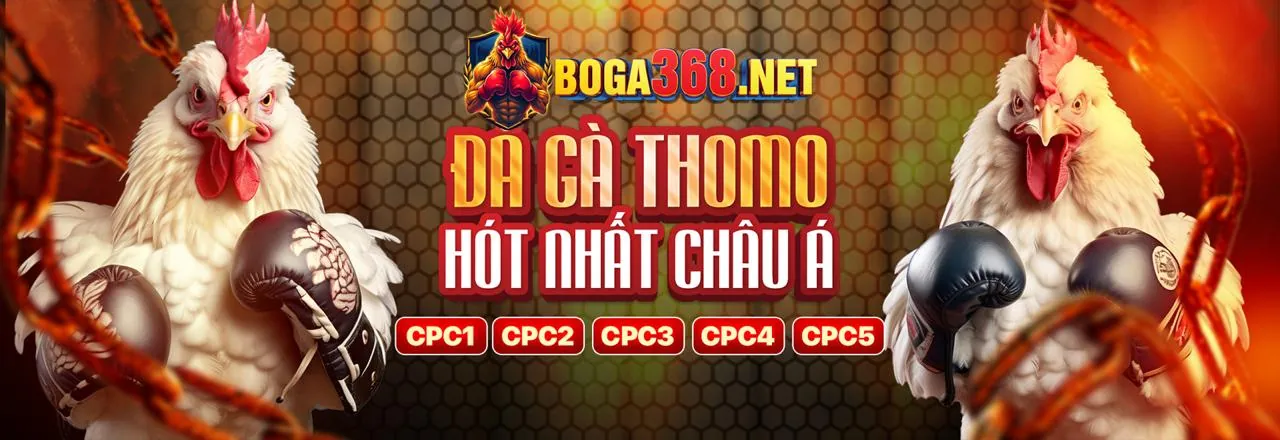 Nền tảng i5bet link vào an toàn và công bằng