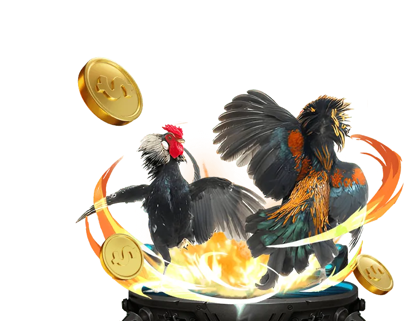 Kèo cược Meron tại i5bet link vào